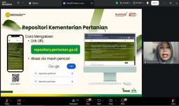 Kementan Perkuat Penyuluh Hadapi Hama Padi di Musim Kemarau
