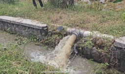 Hadapi Tantangan Iklim, Kementan Andalkan Pompanisasi untuk Kejar Tanam di Sukoharjo